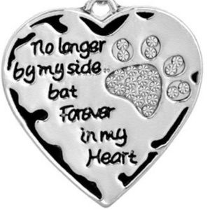 Necklace - Companion By My Side Silver